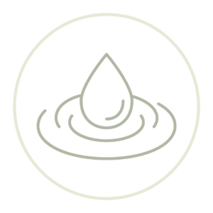 icons skinrej