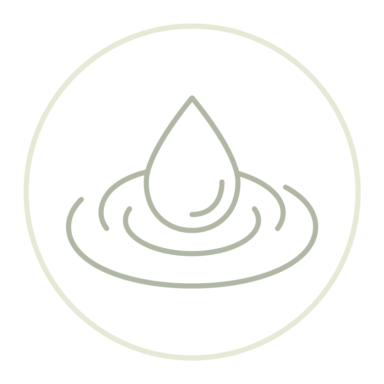 icons skinrej